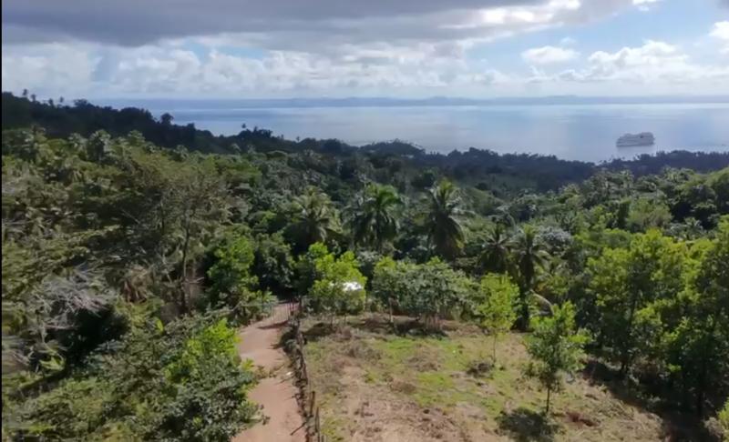 Se vende Terreno de 2,793 m² en Samaná Rep. Dom. - Bienes Raíces | Papitin.com